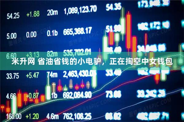 米升网 省油省钱的小电驴，正在掏空中女钱包