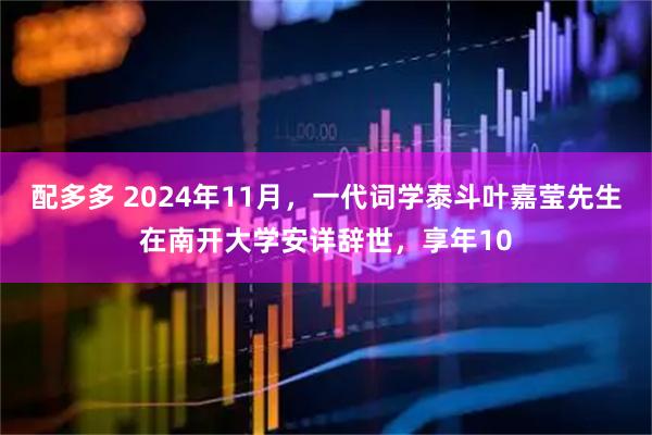 配多多 2024年11月，一代词学泰斗叶嘉莹先生在南开大学安详辞世，享年10