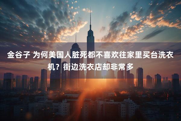 金谷子 为何美国人脏死都不喜欢往家里买台洗衣机？街边洗衣店却非常多